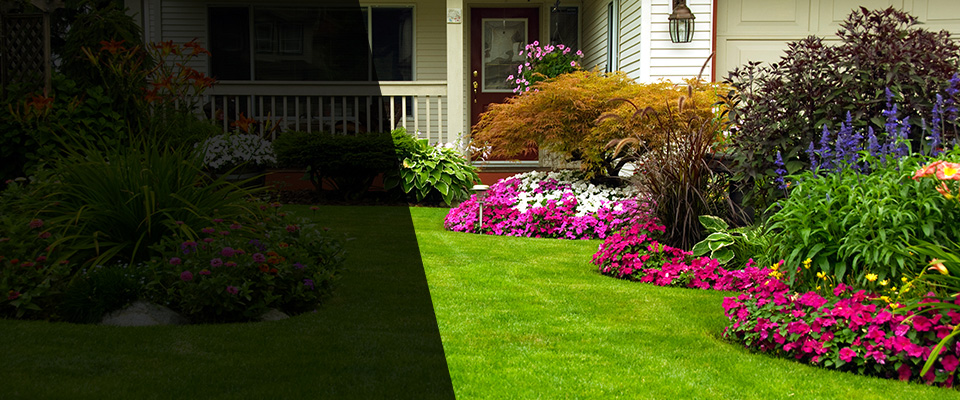 Arizona City Landscapers