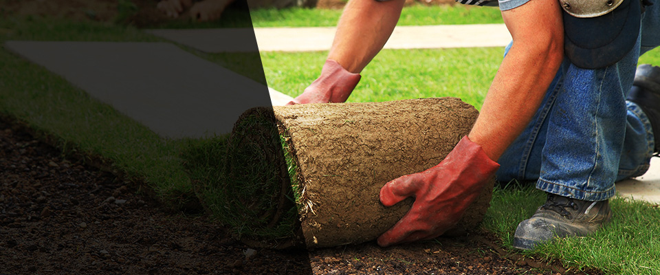 Arizona City Landscapers